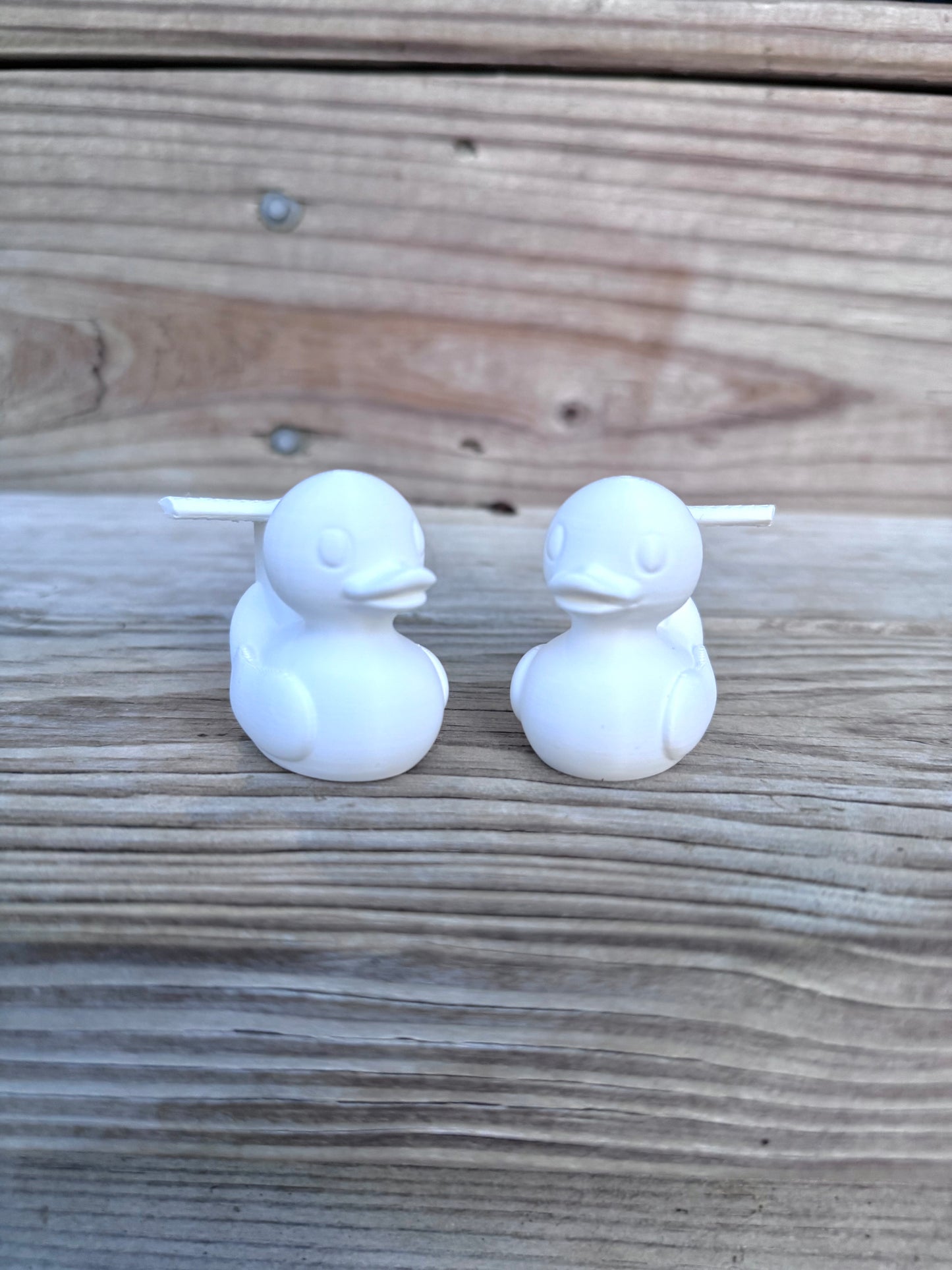 DIY Cruise Ducks - Set of 6