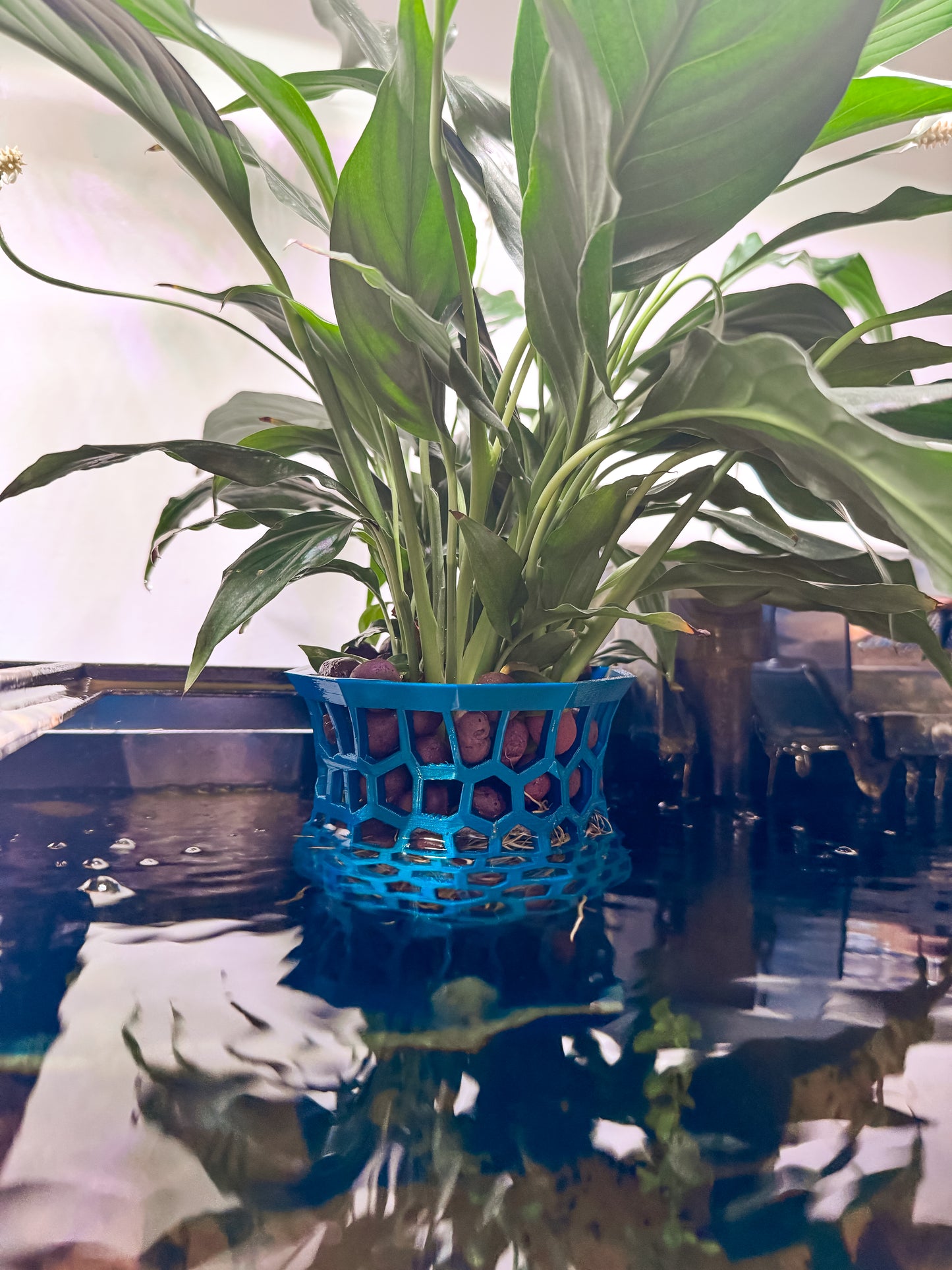Hang on back plant holder