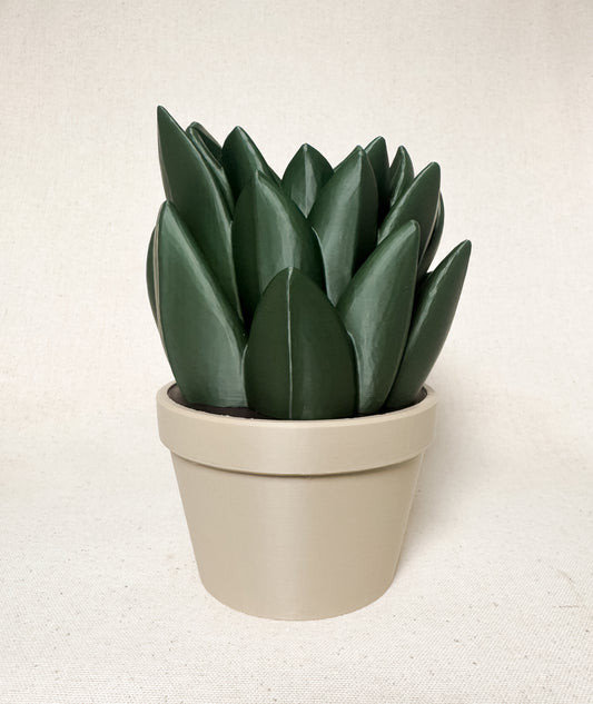 Succulent Soap Holder