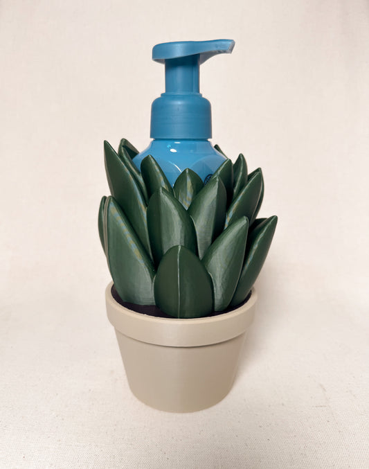 Succulent Soap Holder