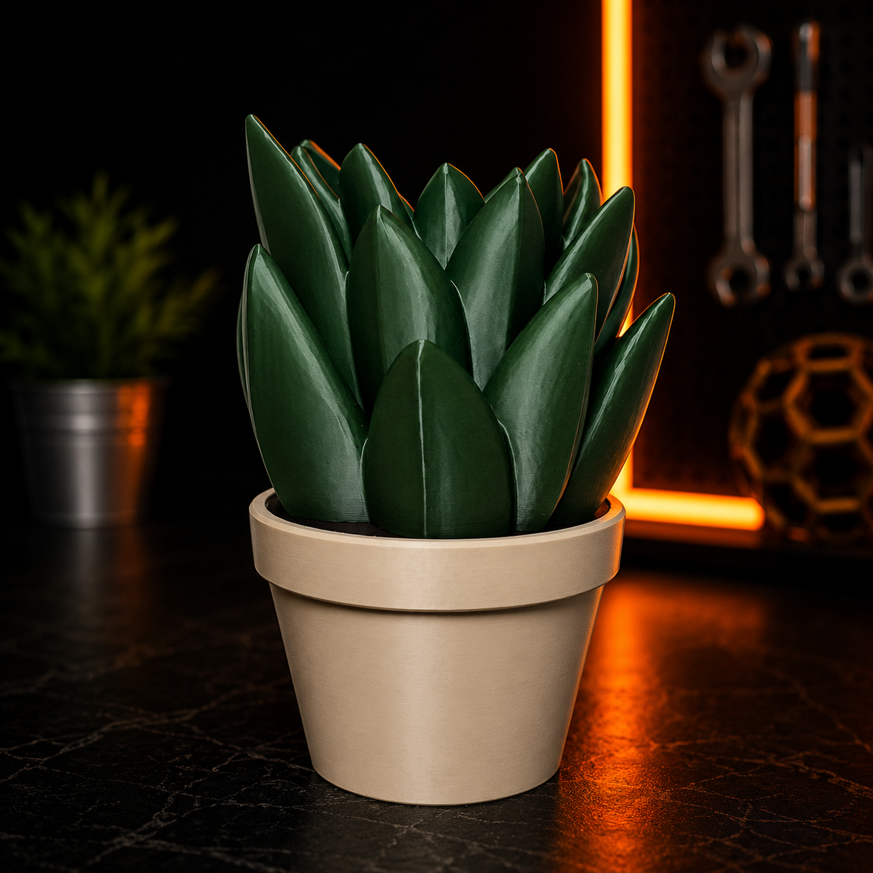 Succulent Soap Holder